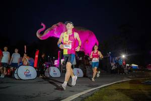 BIB: 
                            <button type="button" onclick="openModal(26551768)" class="btn btn-primary btn-sm float-right btn-popup" data-toggle="modal" data-target=".modal-high-quality">
                        <i class="fas fa-shopping-cart"></i> Add to Cart
                    </button>
                                            <button type="button" onclick="isThisMe(26551768, true)" class="btn btn-success btn-sm float-right btn-popup btn-isme hidden" data-toggle="tooltip" data-placement="bottom" title="นี่คือรูปของคุณใช่ไหม คลิกที่นี่เพื่อเอาเข้าอัลบั้ม">
                        <i class="fas fa-plus"></i> Add to album
                    </button>
                    <button type="button" onclick="isThisMe(26551768, false)" class="btn btn-warning btn-sm float-right btn-popup btn-isnotme hidden">
                        <i class="fas fa-ban"></i> Remove from album
                    </button>